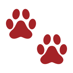 foot paws traces icon