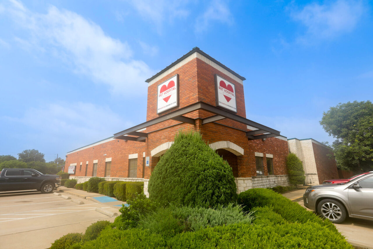 About The Pet Hospital Of Granbury Vet In Granbury, TX