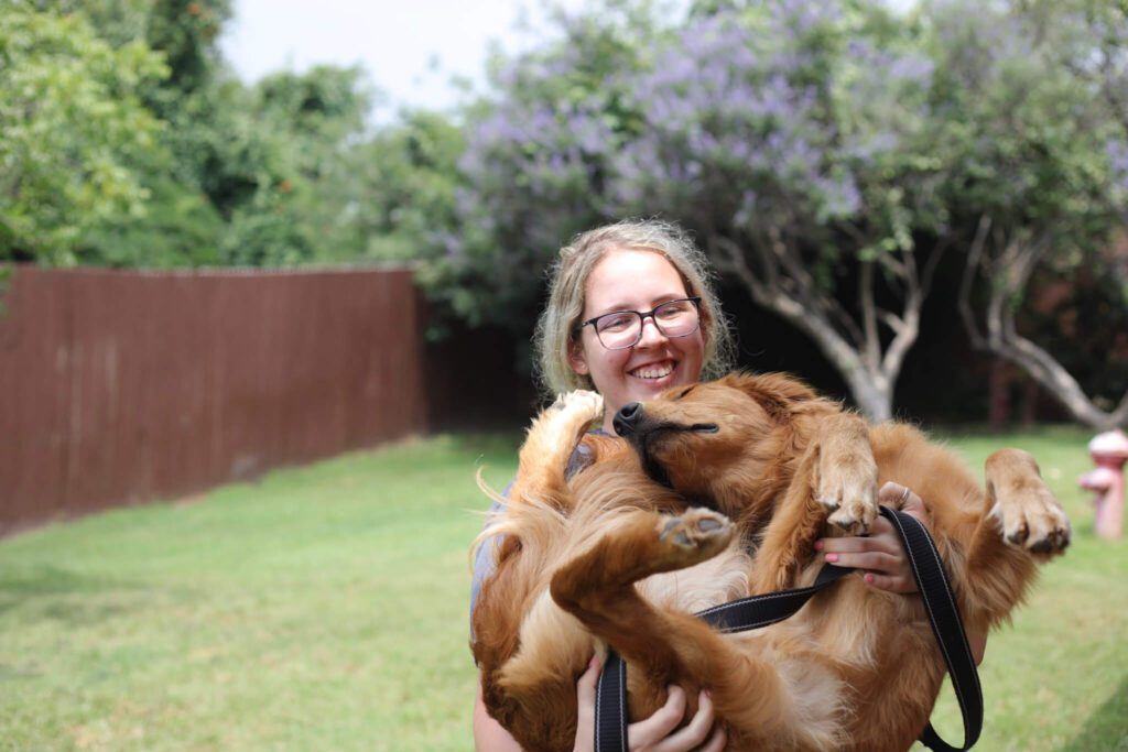 Pet Ultrasound In Granbury TX The Pet Hospital Of Granbury