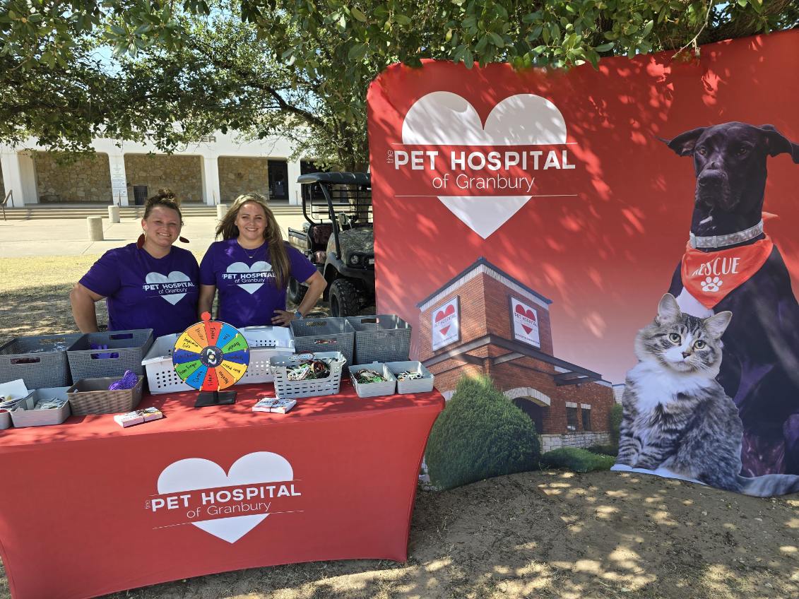 Pet Hospital of Austin's annual event showcasing adoptable pets, fostering community involvement and animal welfare awareness.